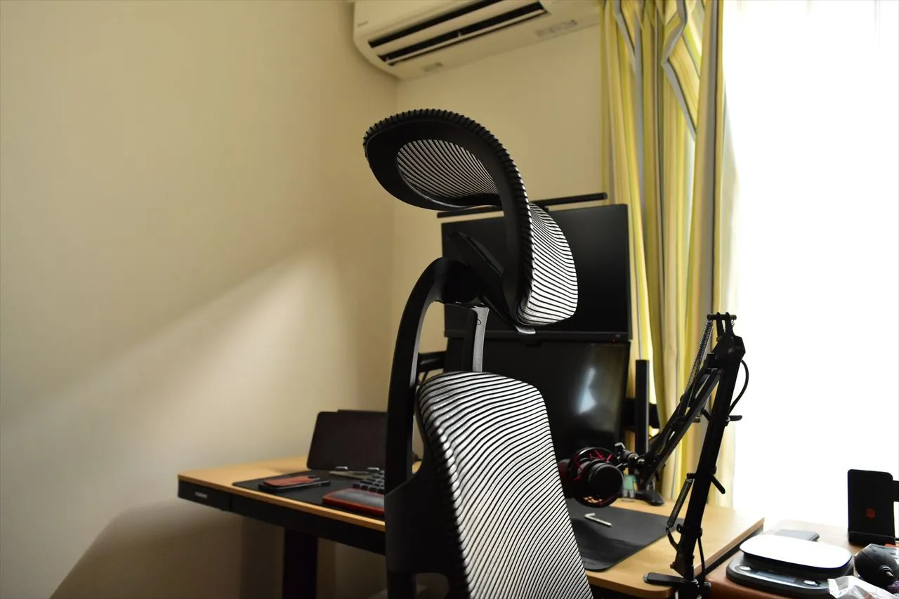 FlexiSpot C2を斜め後ろから見た様子