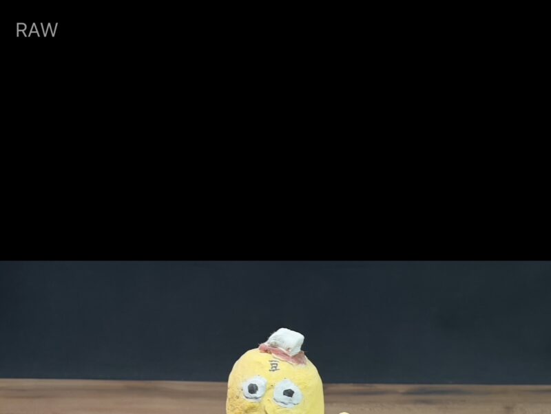 Apple ProRAWについて