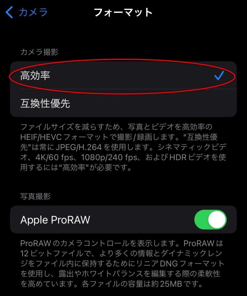一番上にあるカメラ項目の「高効率」を選択。